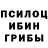 Галлюциногенные грибы мицелий evgeniy_zyuzin_prod