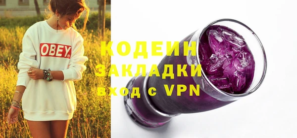 гашик Нея