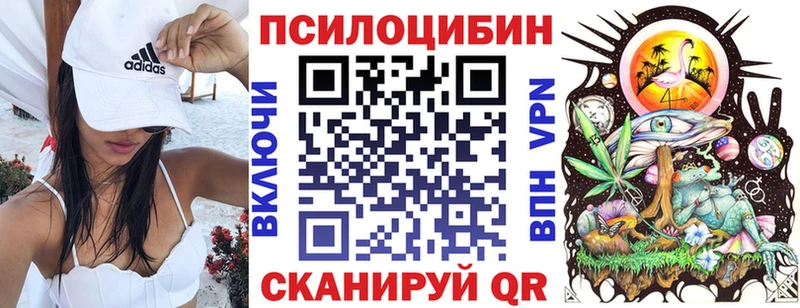 Псилоцибиновые грибы Psilocybe Агидель